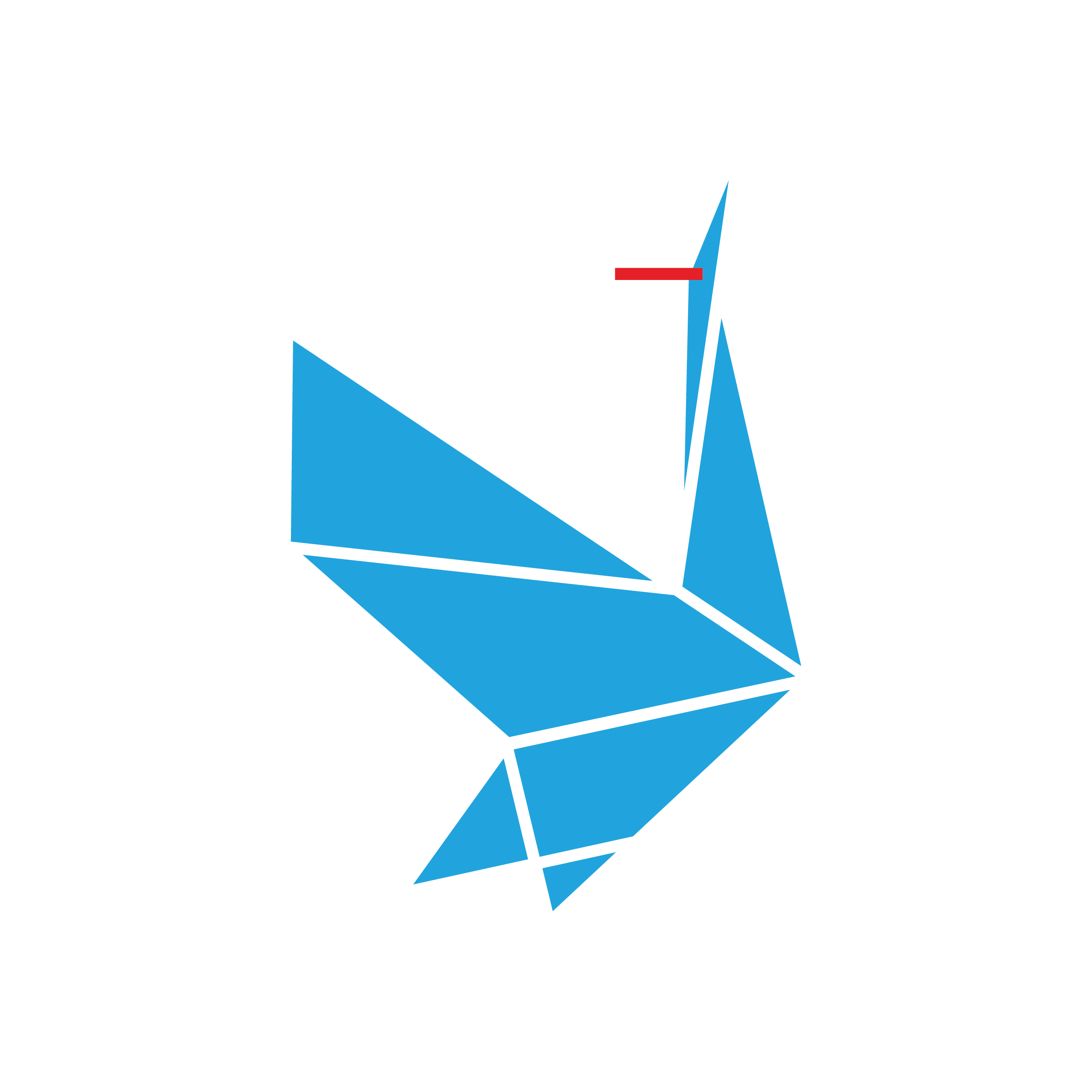 tsuru-front-v3.pages.dev favicon